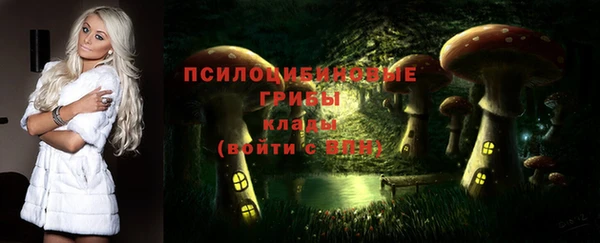 индика Алексеевка