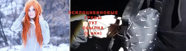 PSILOCYBIN Армянск