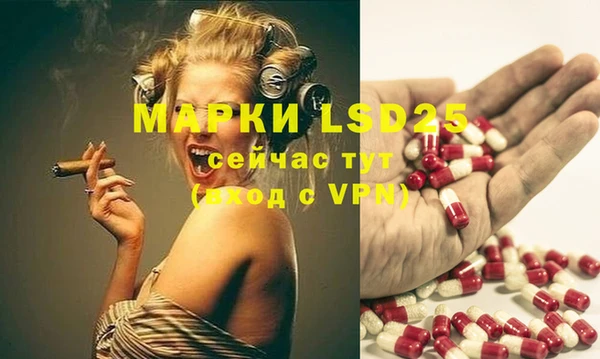 индика Алексеевка