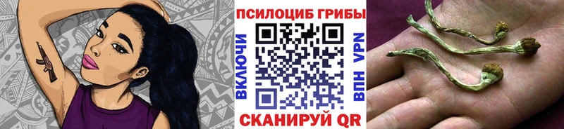 цены наркотик  Аша  Псилоцибиновые грибы Psilocybine cubensis 